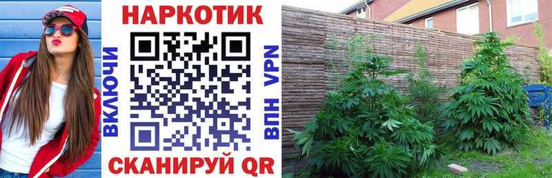 Наркота Менделеевск Конопля  Мефедрон  Амфетамин  ГАШ 