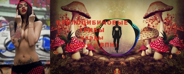 стафф Армянск