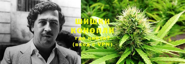 стафф Армянск